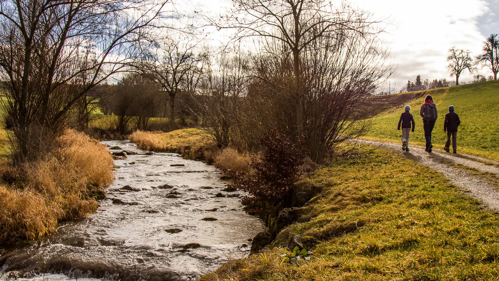 Wyna Beromuenster
