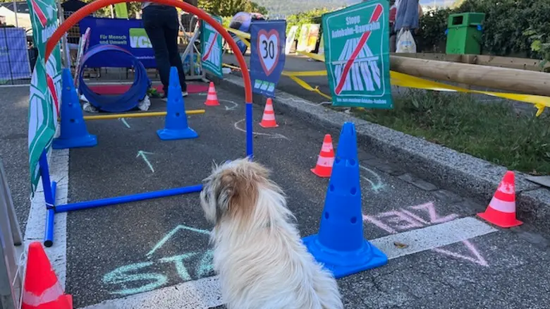 Hund vor einem Spielparcours mit Tempo 30 Fahne