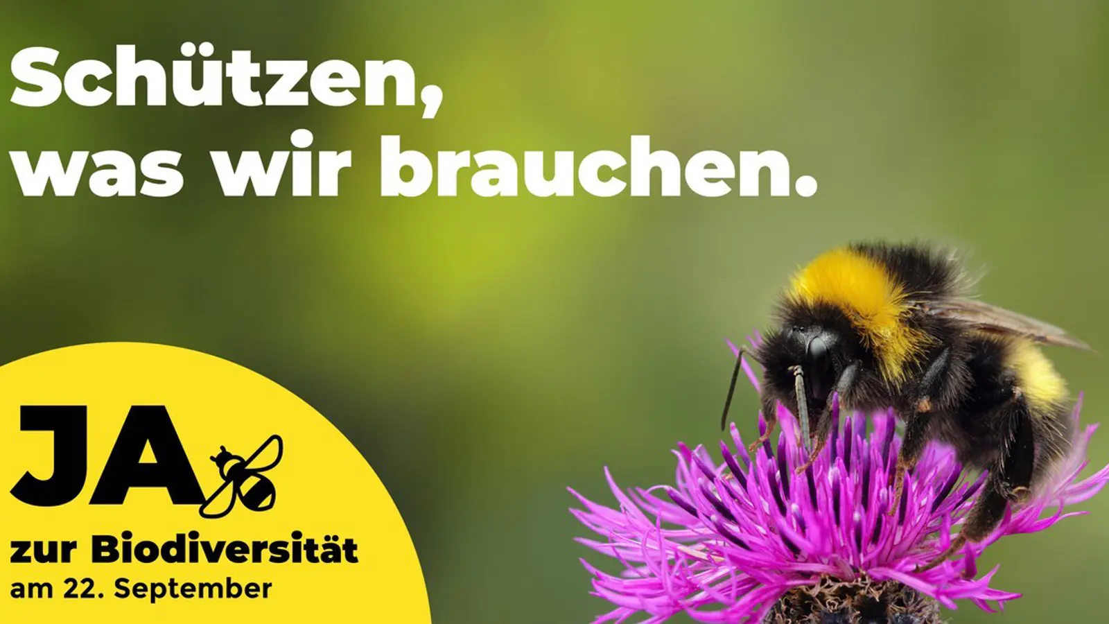 Biodiversitaet