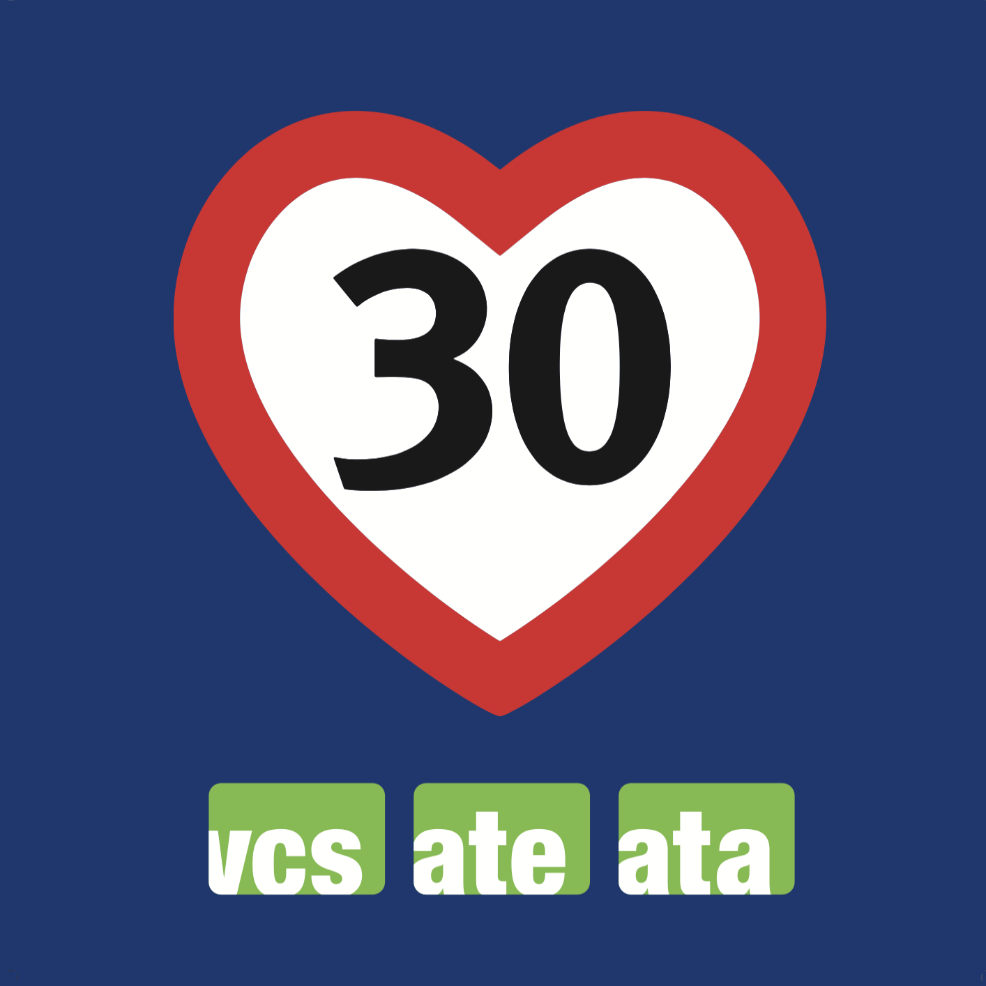 T30 Logo
