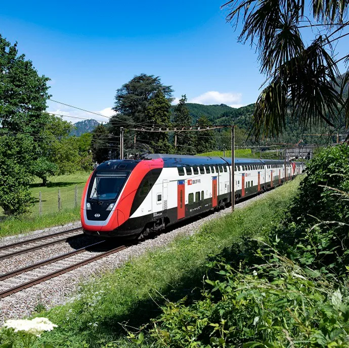 FVD unter Palmen Capolago Tessin 10 SBB