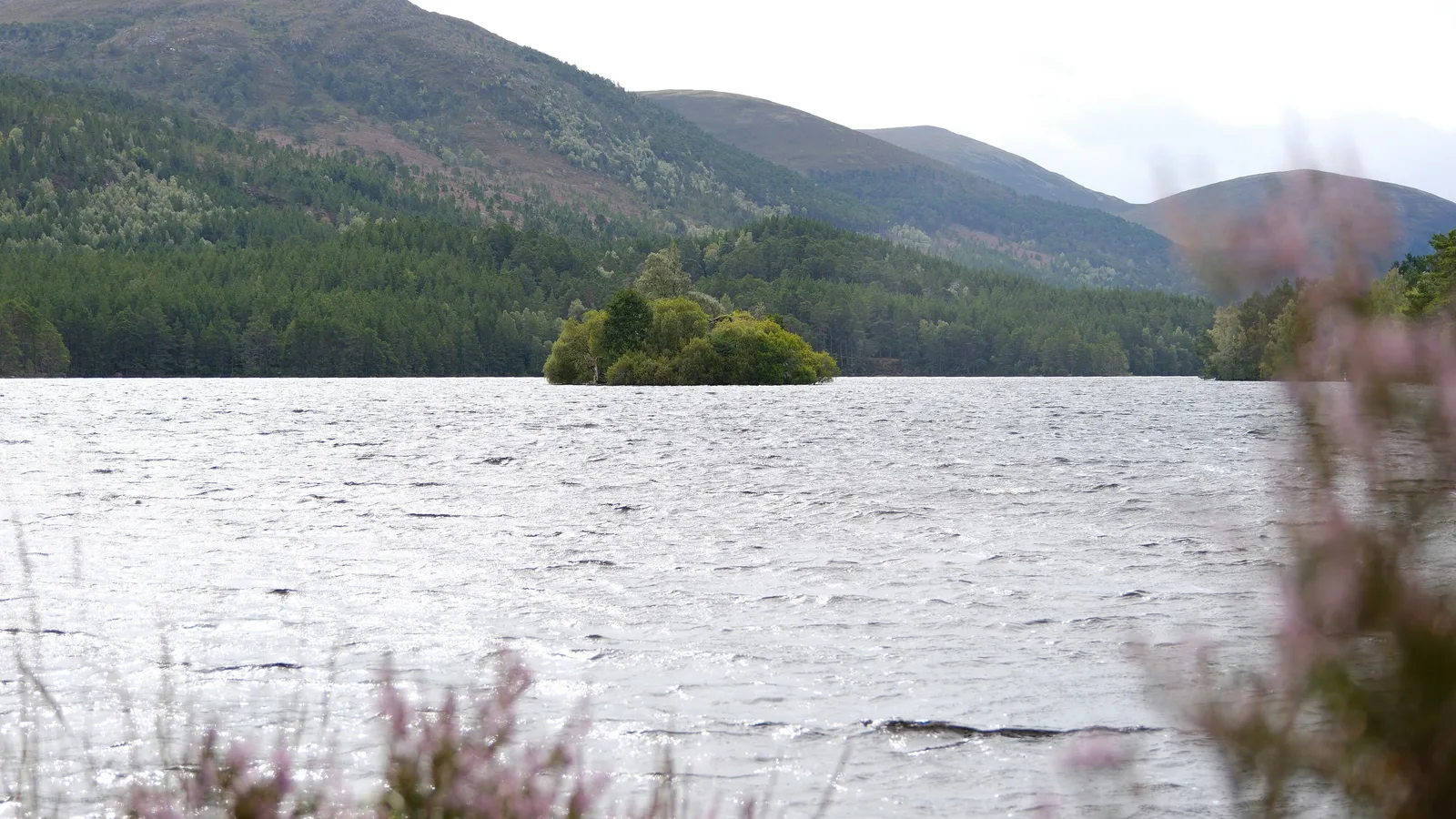 Voyager Écosse Loch An Eilein