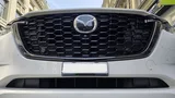 Fahrzeugfront suv