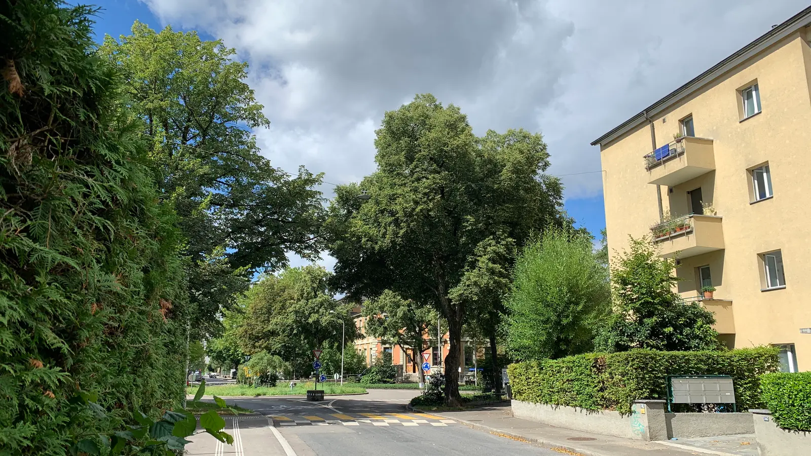 Rue Arbres